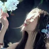 trinh_bytrinh