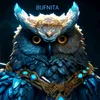 bufnitacontnou