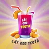lat.oss.testa