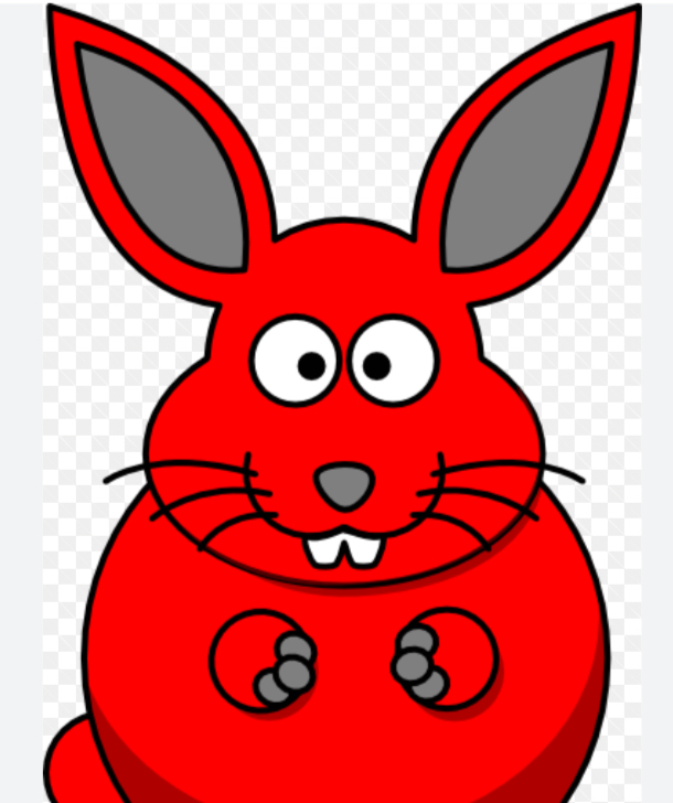 redbunny69