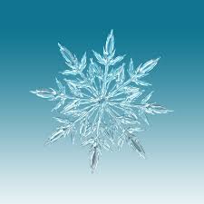 Frostbite